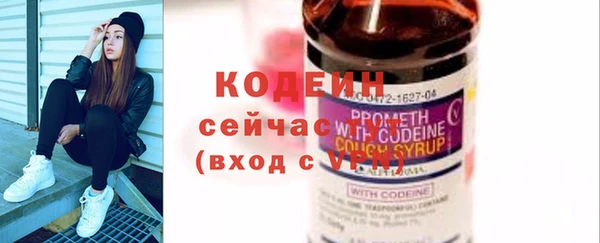 индика Лагань