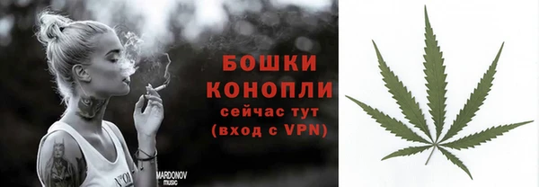 сатива Зеленодольск