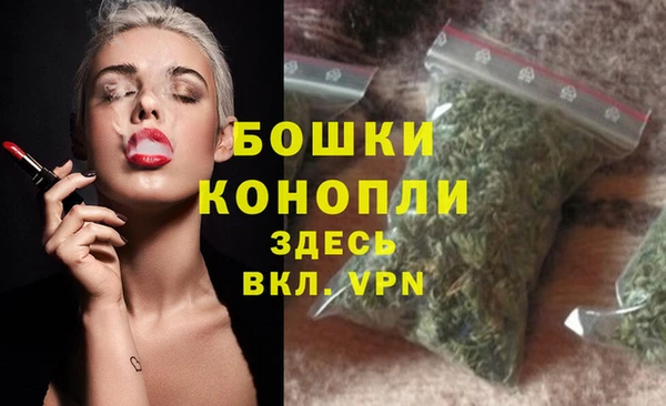 сатива Зеленодольск