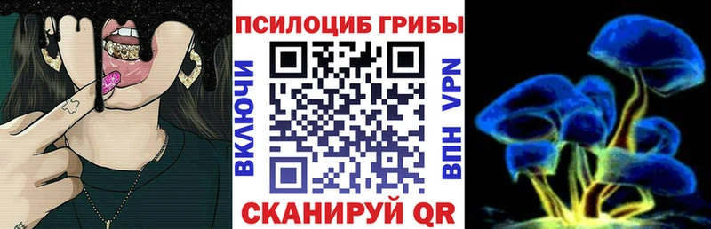 omg зеркало  Яблоновский  Псилоцибиновые грибы Magic Shrooms  купить наркоту 